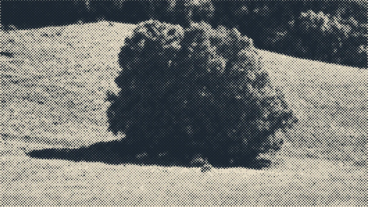 An English meadow.